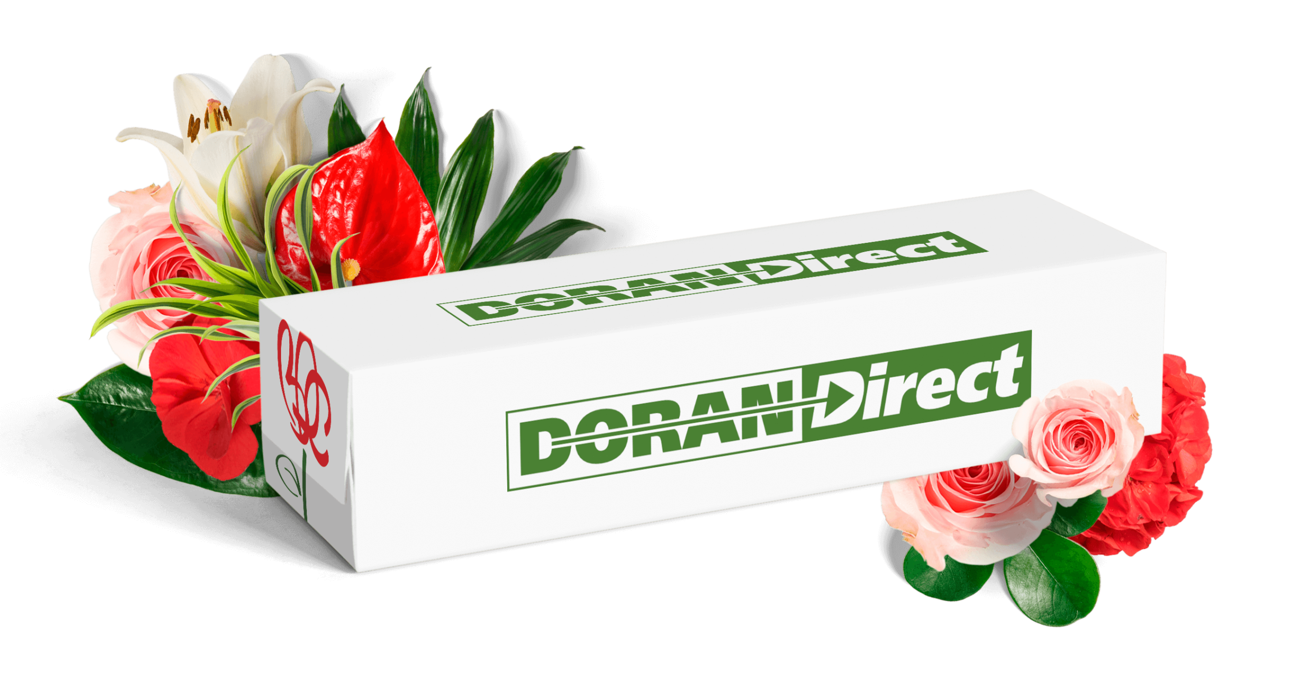 Bill Doran Company | Wholesale Florist | Bulk Flowers Nationwide ...