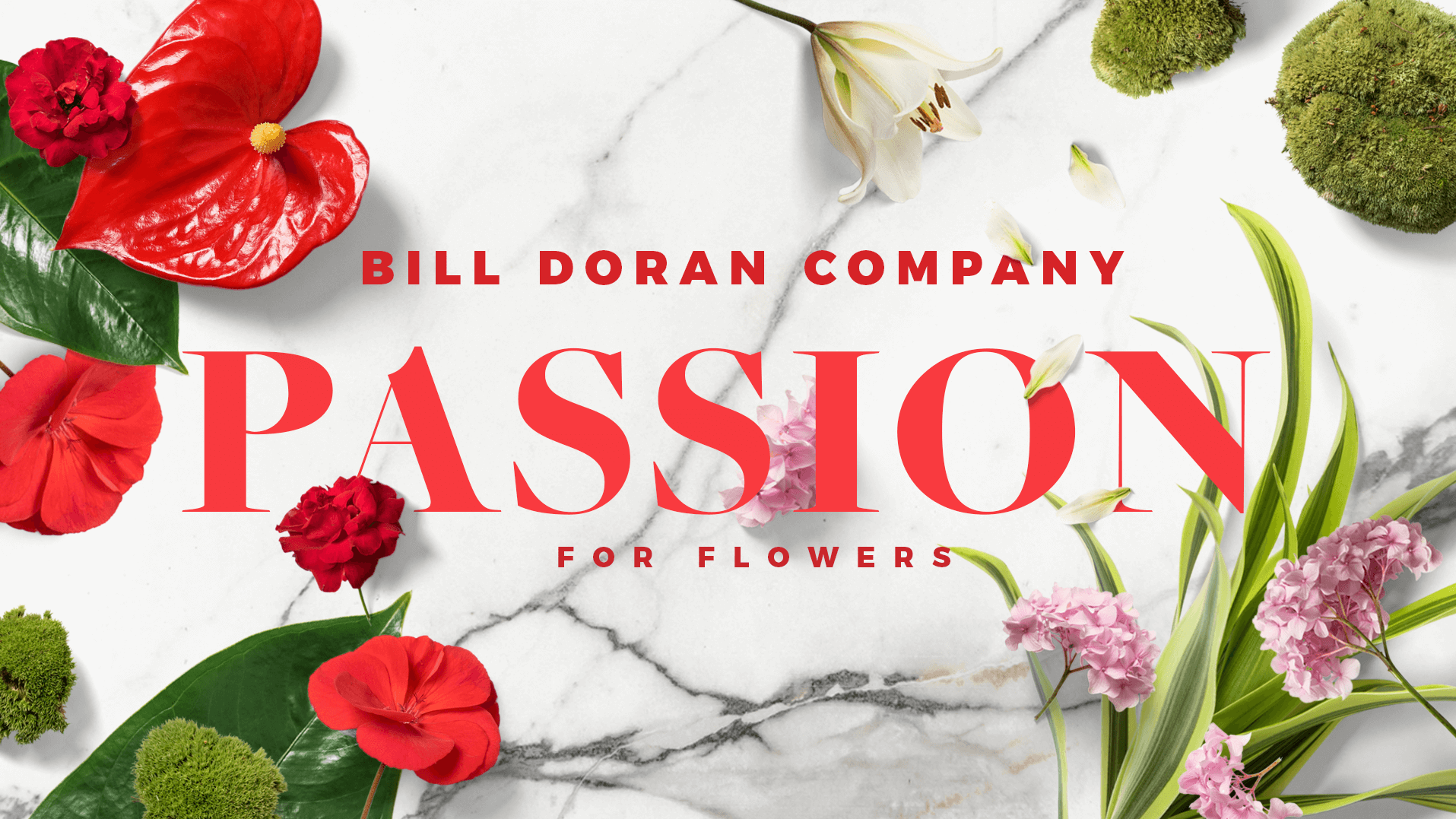 Bill Doran Company | Wholesale Florist | Bulk Flowers Nationwide