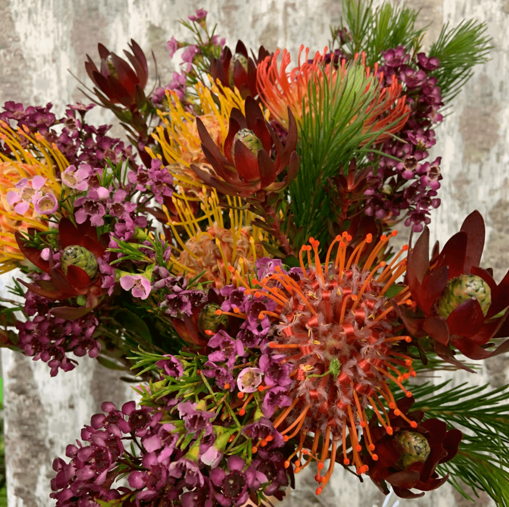 DoranDirect – Bill Doran Company, Wholesale Florist