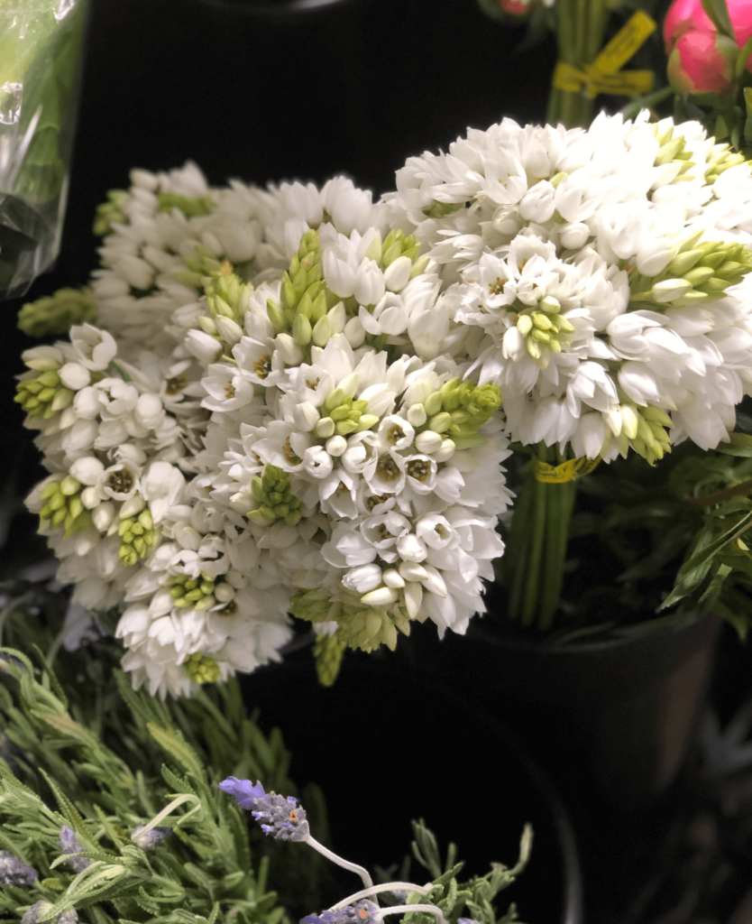 Illinois, Chicago – Bill Doran Company, Wholesale Florist