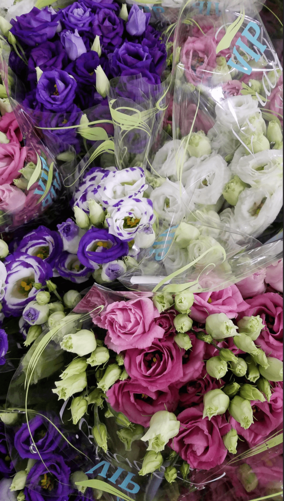 Bill Doran Company - Wholesale florist - Chicago, Illinois - Zaubee