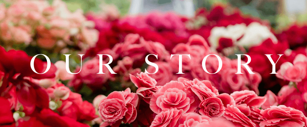 Our Story – Bill Doran Company, Wholesale Florist